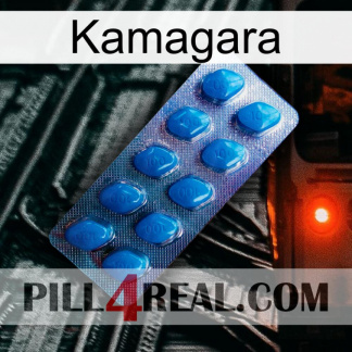 Kamagara viagra1